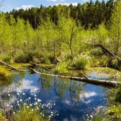 Jezioro Łąkie - odkryj piękno i atrakcje tego malowniczego miejsca