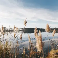 Działka nad jeziorem Zachodniopomorskie - idealne miejsce na wypoczynek