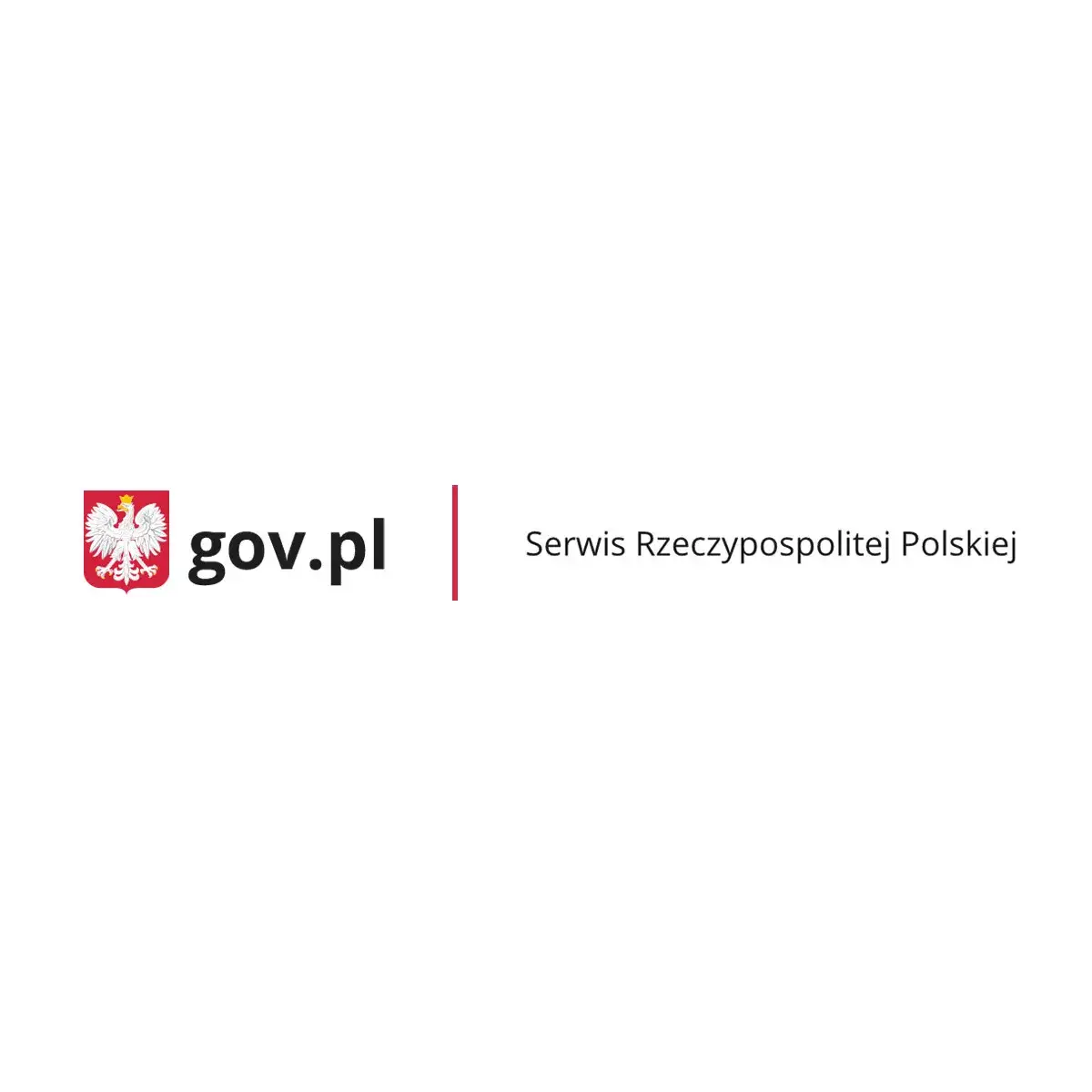 Zdjęcie Jaki jest czas oczekiwania na paszport? Sprawdź, co musisz wiedzieć