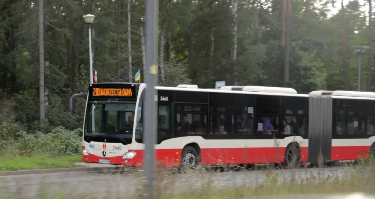 Zdjęcie Jak dojade do Gdańsk lotnisko? Sprawdź najtańsze opcje transportu
